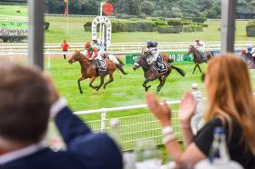 Hippodrom - Erleben Sie die Rennen an Renntagen hautnah!